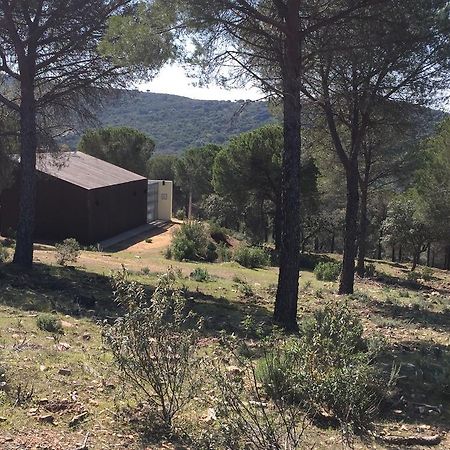 Гостевой дом Casas Rurales Cijara Элечоса Экстерьер фото