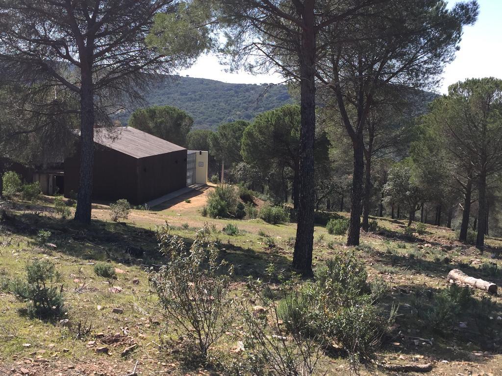 Гостевой дом Casas Rurales Cijara Элечоса Экстерьер фото