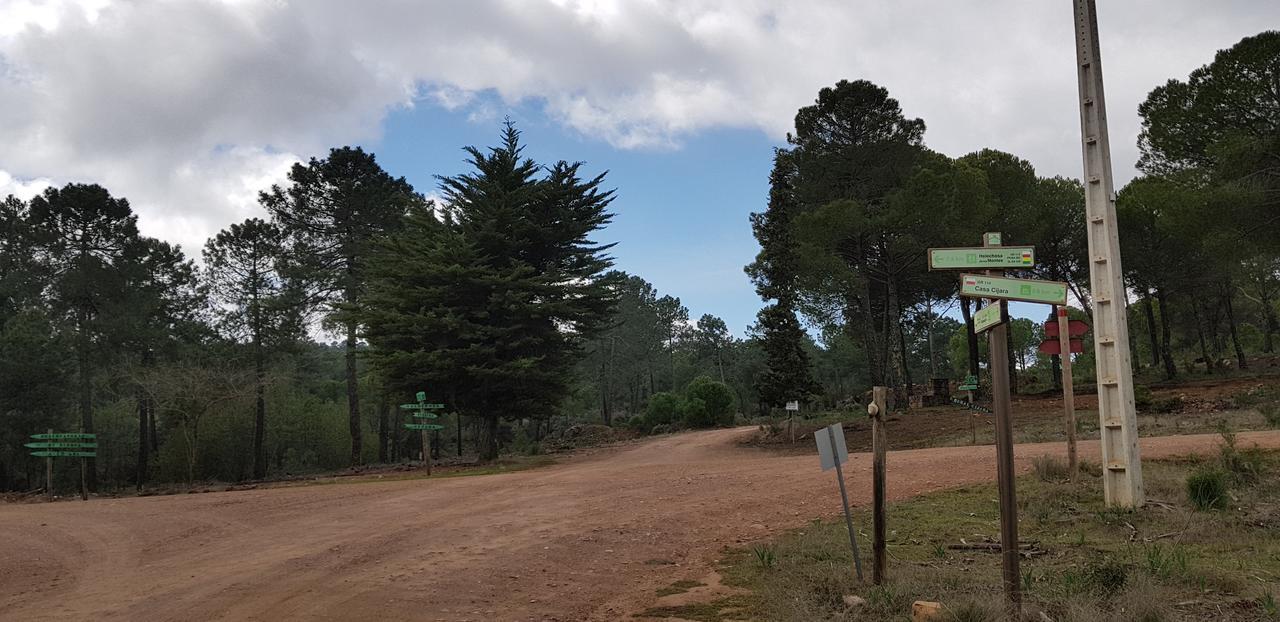 Гостевой дом Casas Rurales Cijara Элечоса Экстерьер фото